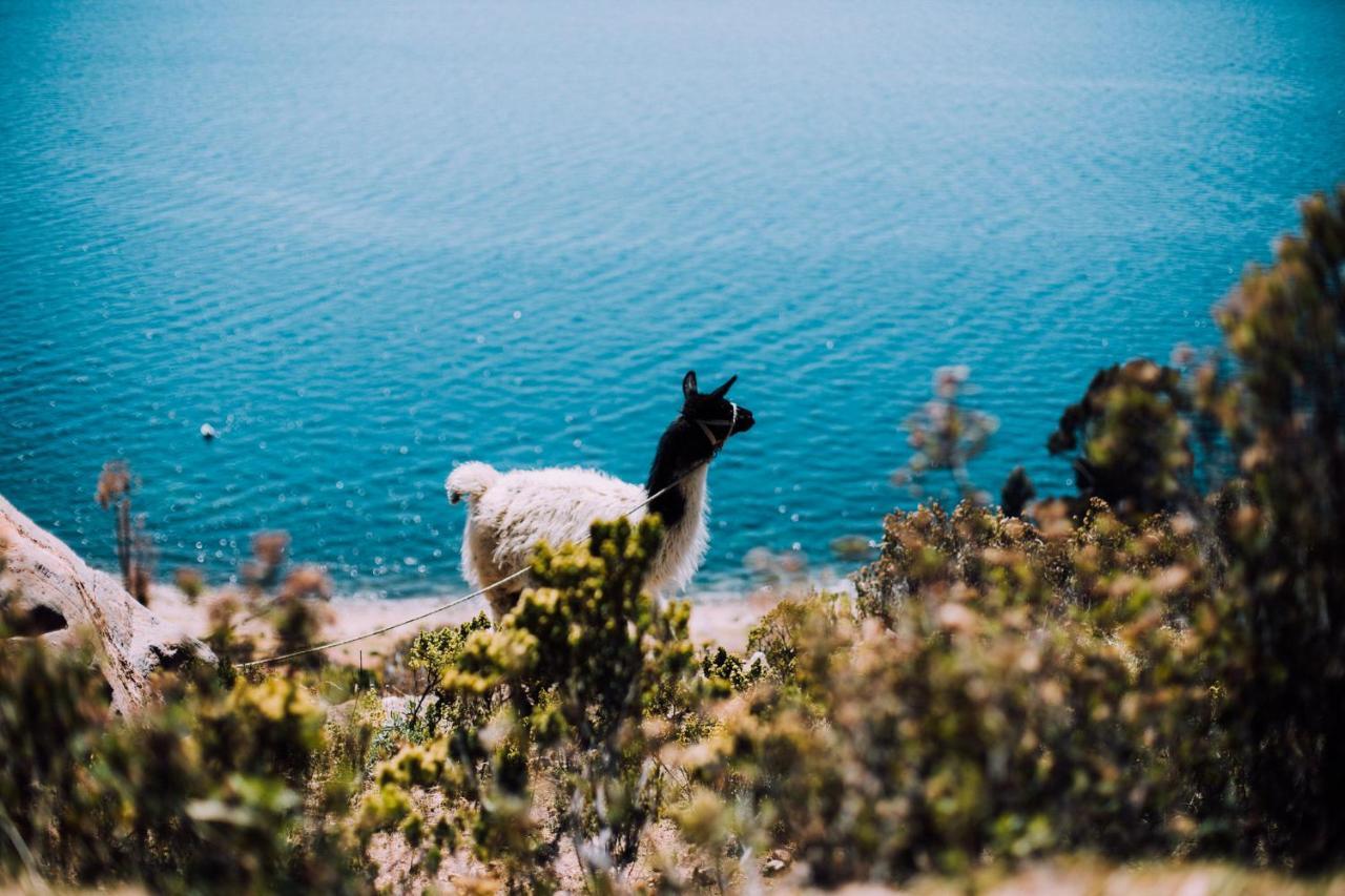 Ecolodge La Estancia Comunidad Yumani Dış mekan fotoğraf